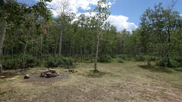Chicken Creek Dispersed photo 2