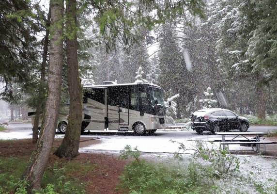 Ponderosa RV Campground photo 2