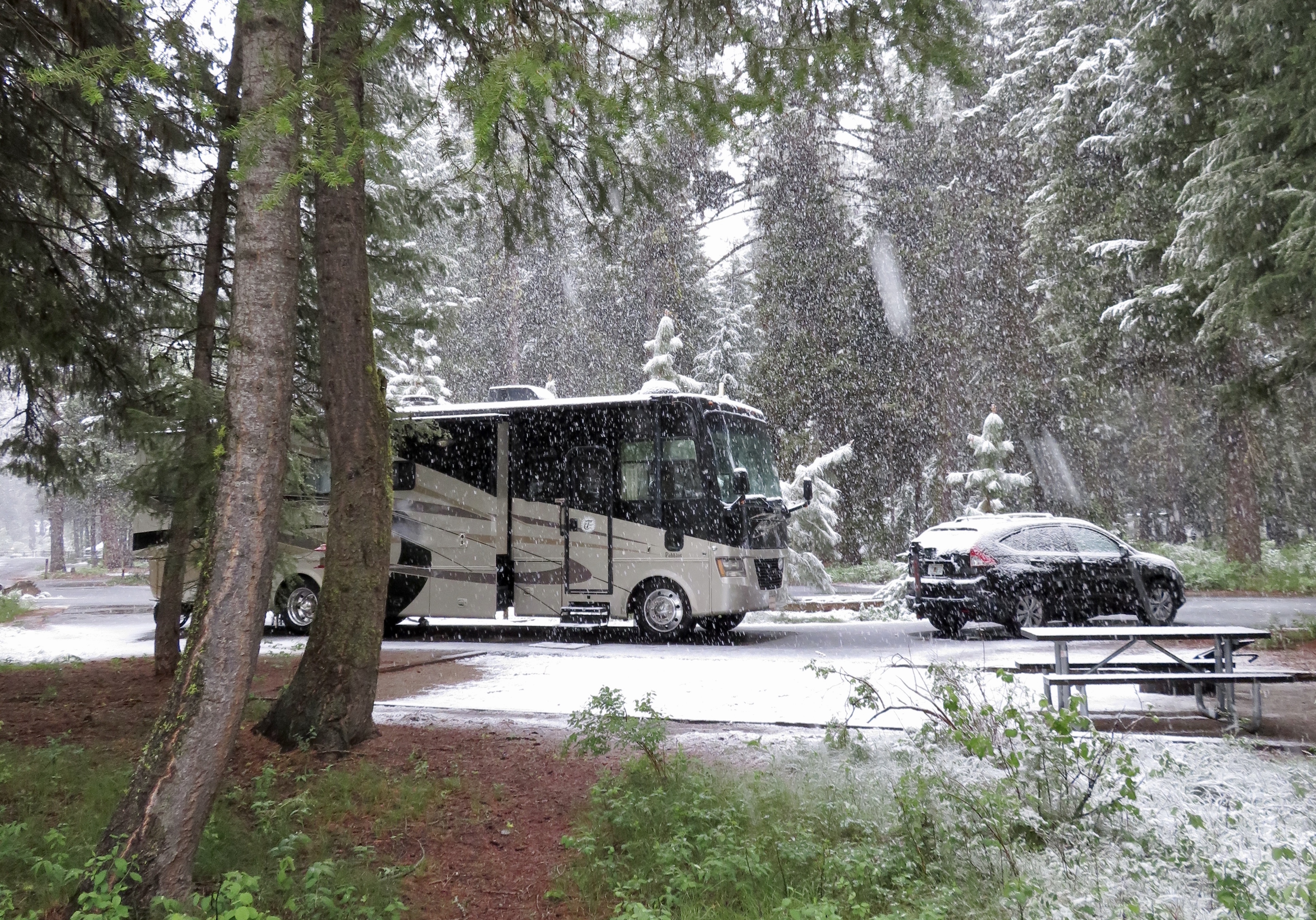 Ponderosa RV Campground