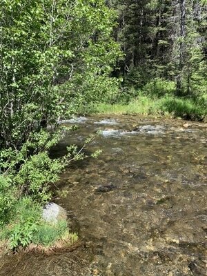 Mill Creek Campground photo 2