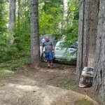 Forest road 6400