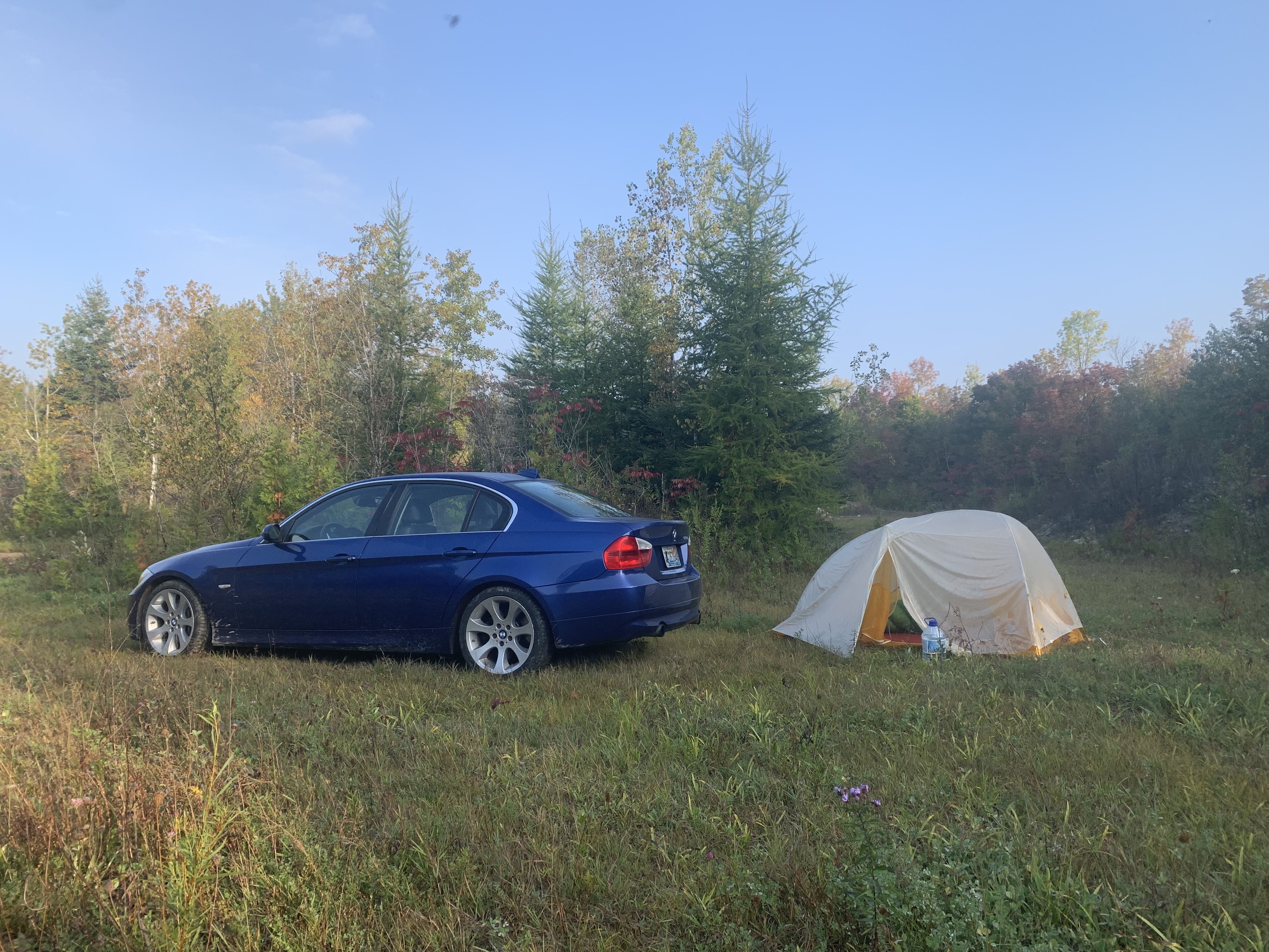 Von Allmen Woods Dispersed Campsite
