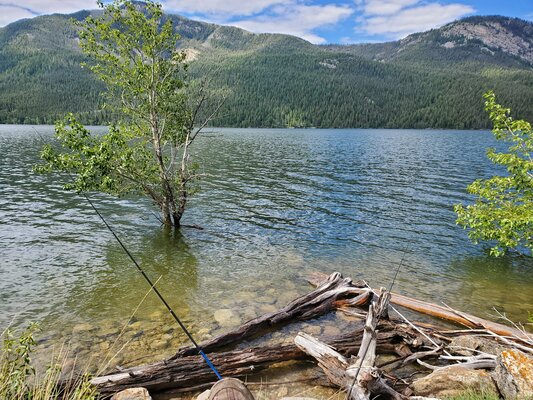 Mortimer Gulch Campground