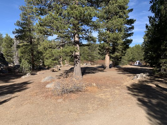 West Fork Carson River Dispersed photo 2