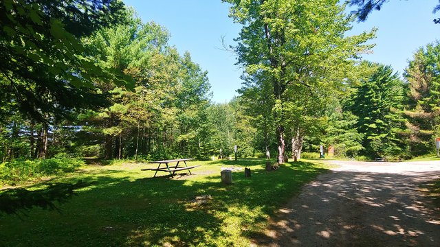 Wilderness Shores Site #4