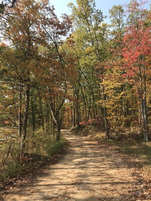 Goose Lake State Forest Campground
