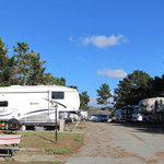 Pelican point rv park
