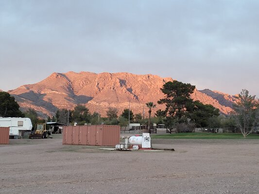 Box 8 Ranch Reviews updated 2026