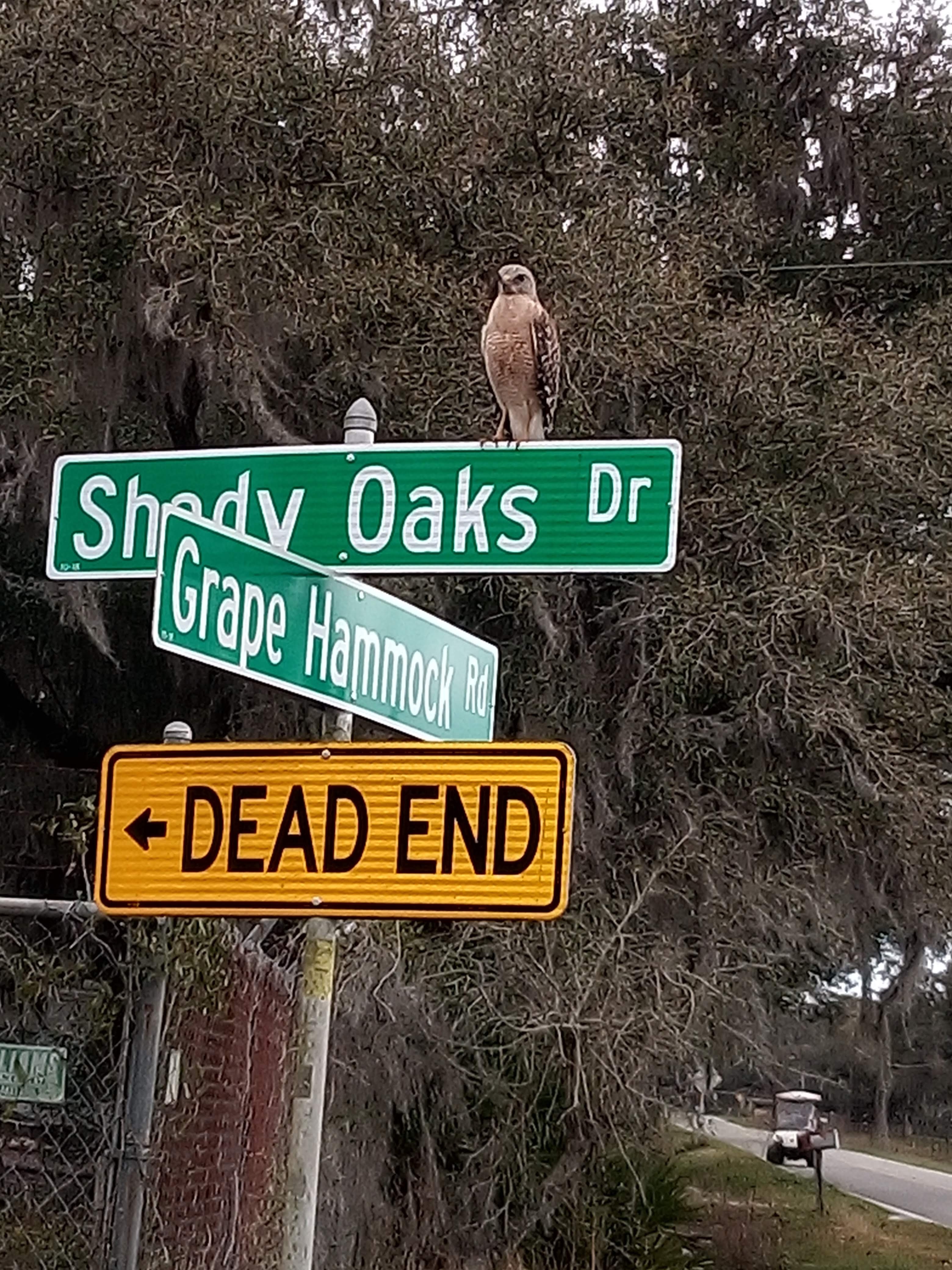 Coleman Landing Campground Reviews updated 2024