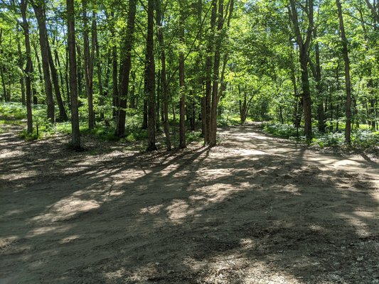 Condon Lakes West Campground photo 2