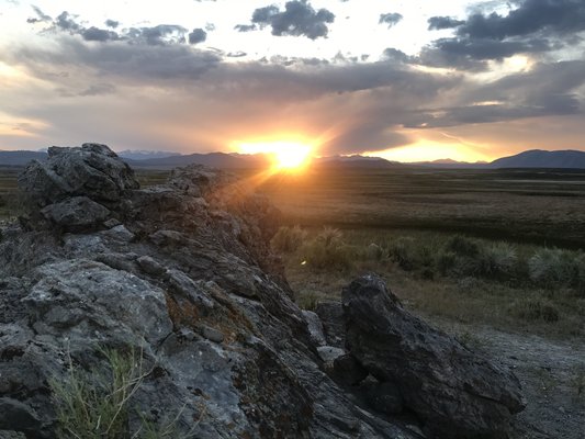 Wild Willy's Hot Spring Road photo 2