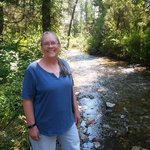 Spring creek montana