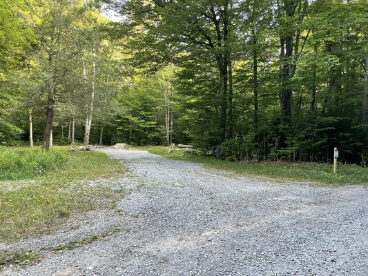 Little River Designated Dispersed Camping photo 2