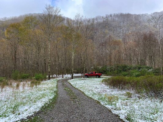 Anthony Creek Dispersed Camping
