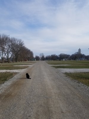 Smidt Campground photo 2