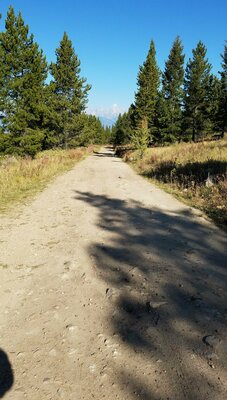 Curtis Canyon Dispersed Campsites 5 - 6 photo 2