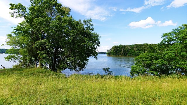 Kuttawa Landing Camping Area