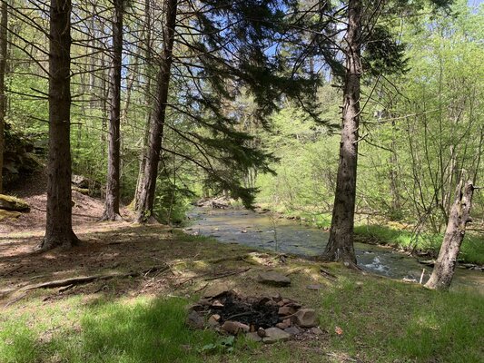 Abe's Run Dispersed Campsites photo 2