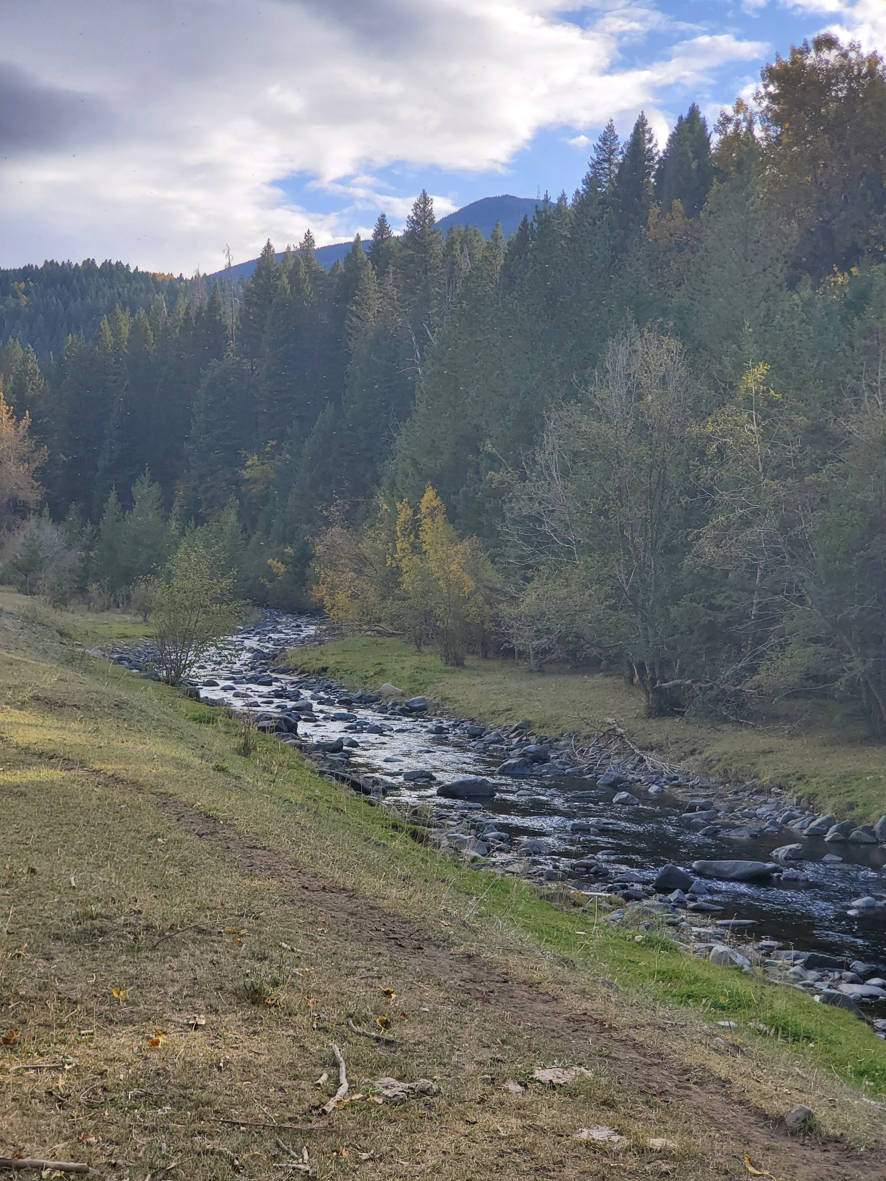 Thain Creek Campground