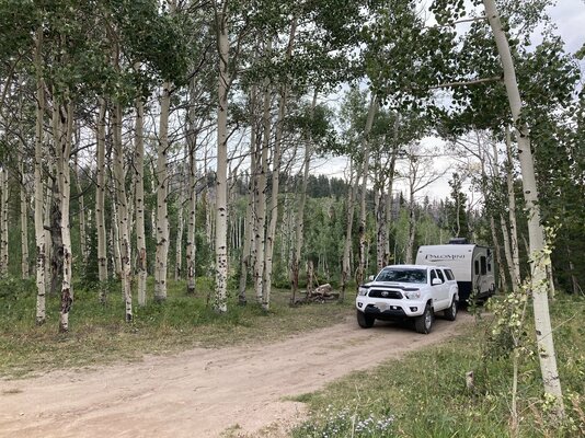 Deadman Road Dispersed Camping photo 2