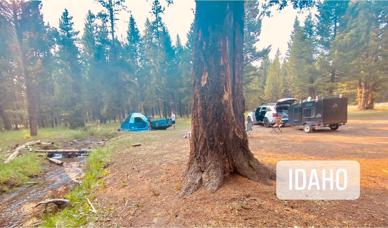 Red Rock Creekside Dispersed Camping