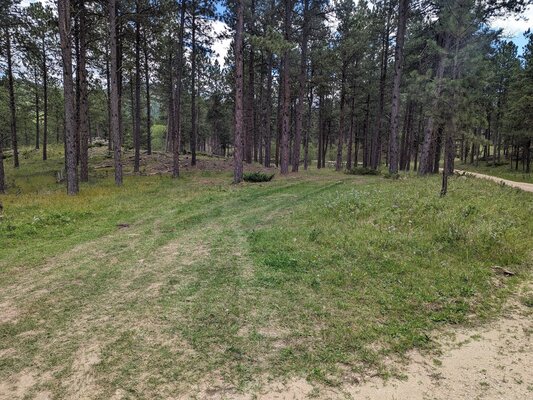 Glen Erin Road Dispersed Camping