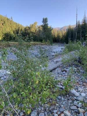 Lightning Creek Road Dispersed Camping