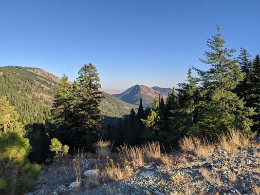 Chumstick Mountain Dispersed Camping