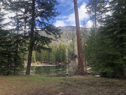 Tieton Pond Dispersed Camping