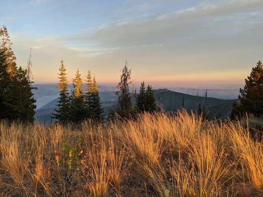 Baldy Mountain Dispersed Camping