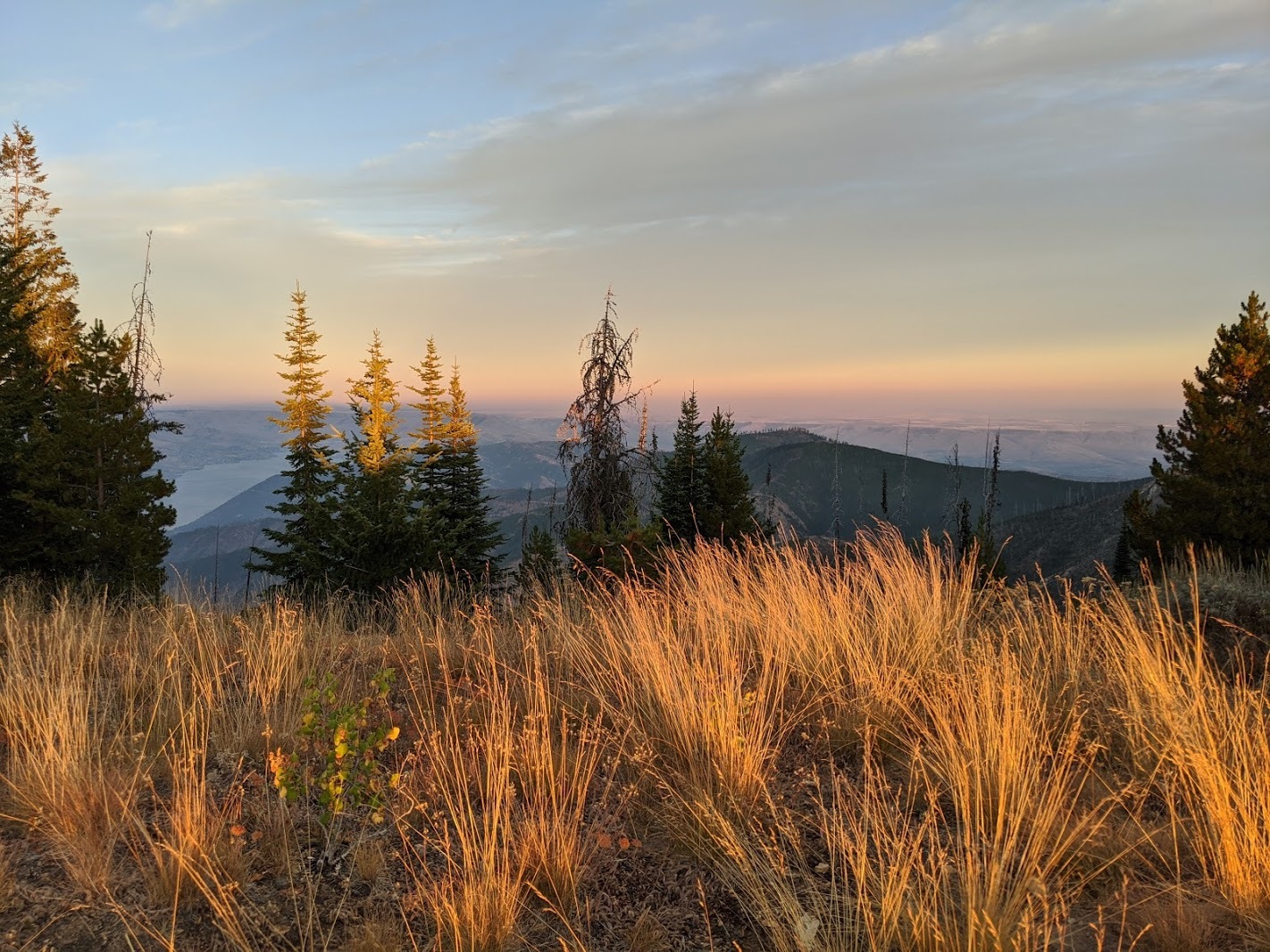 Baldy Mountain Dispersed Camping