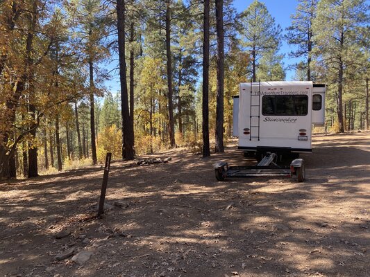 Forest Road 237 Designated Dispersed Camping Area 1 photo 2