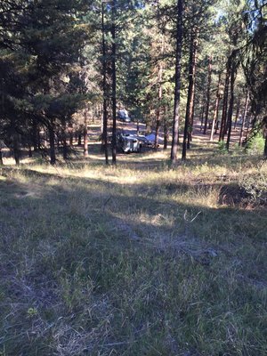 Anson Wright Memorial Park photo 2
