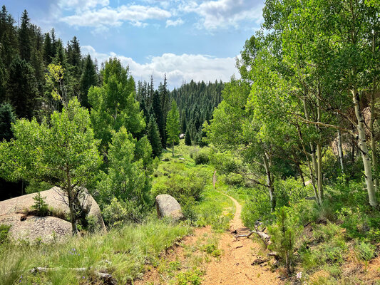 Beaver Creek Road Dispersed Camping photo 2