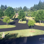 Barton park