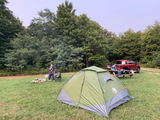 Laurel Mt. Division Designated Dispersed Campsite 1 photo 2