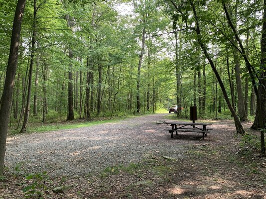 Blue Hole Division Designated Dispersed Campsite 5