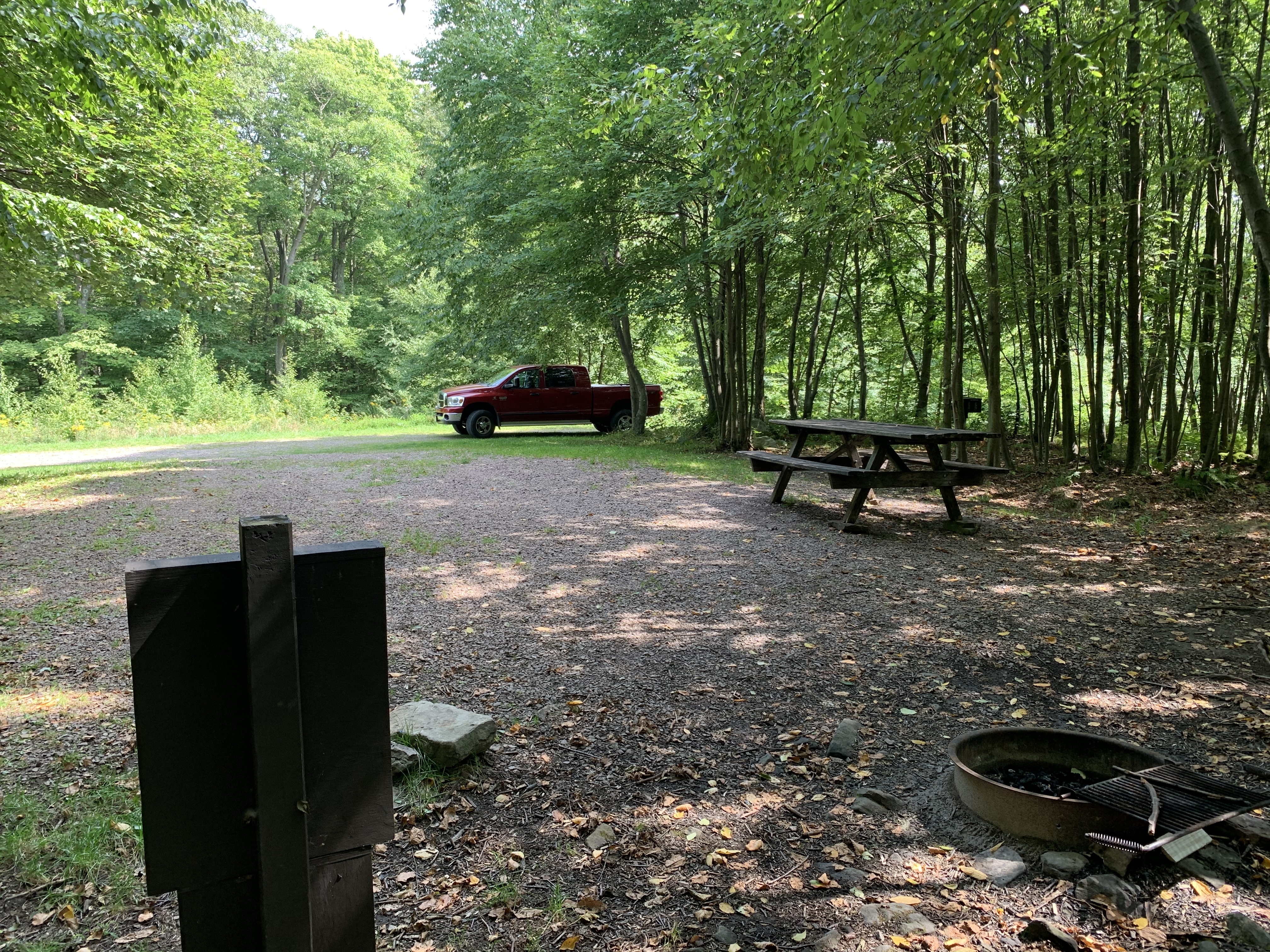 Mt. Davis Division Designated Dispersed Campsite 6 Reviews updated 2026
