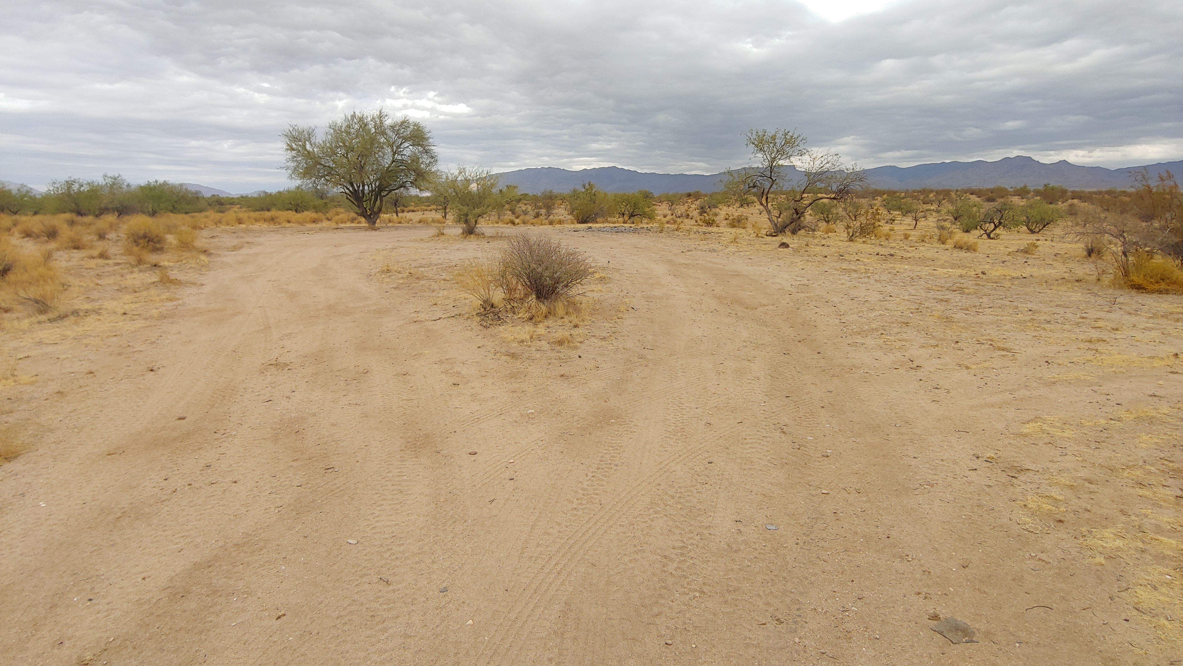 Assay Road Dispersed Camping