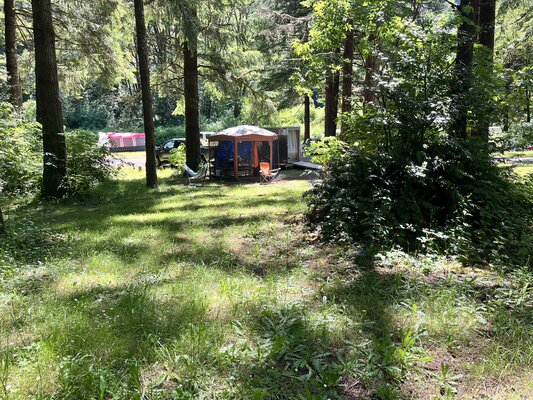 Blackberry Campground photo 2