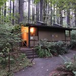 Bogus creek