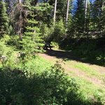 Buckhorn oregon