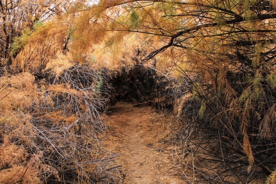 Robbins Butte Dispersed Camping Reviews updated 2025