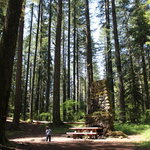Camp creek campground