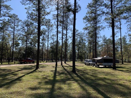 Wilderness Landing Park