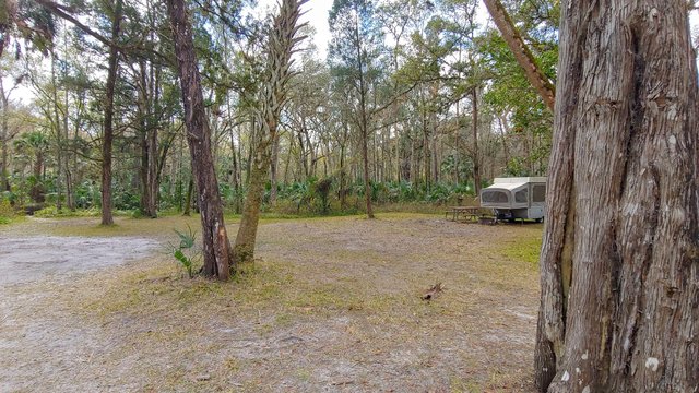 McNeil Campground photo 2