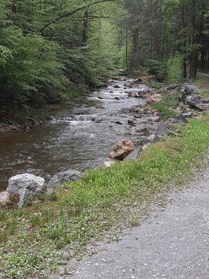 Paint Creek Designated Dispersed Camping photo 2