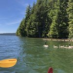 Clackamas lake