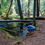 Clearwater falls campground