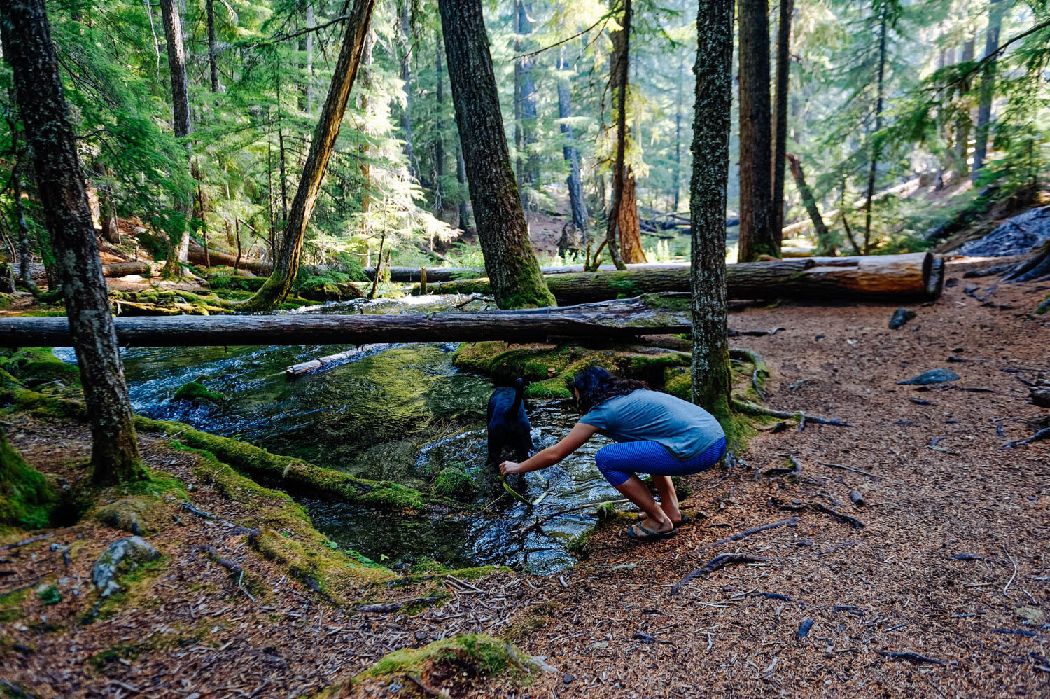 Clearwater Falls Campground Reviews Updated 2026